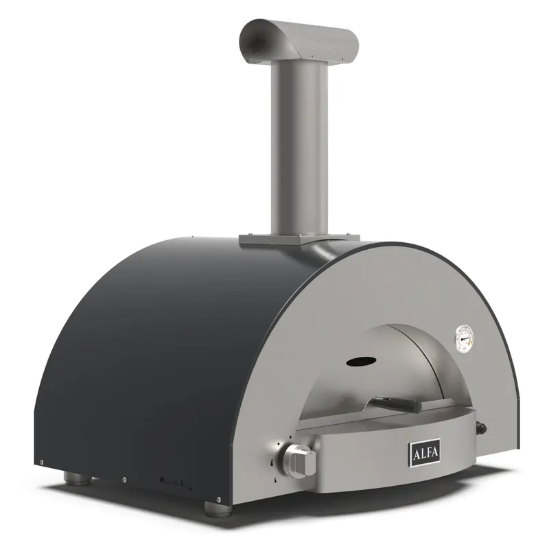 Alfa Forni Classico 2 Pizze Hybrid Schiefer Grau Geprüft