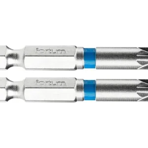 FORTUM Pozidriv-Kreuzbohrer, 2er-Set, PZ 2 x 50 mm, S2 4741312 Jetzt Bestellen