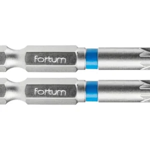 Versand Am Gleichen Tag FORTUM Pozidriv-Kreuzbohrer, 2er-Set, PZ 3 x 50 mm, S2 4741313