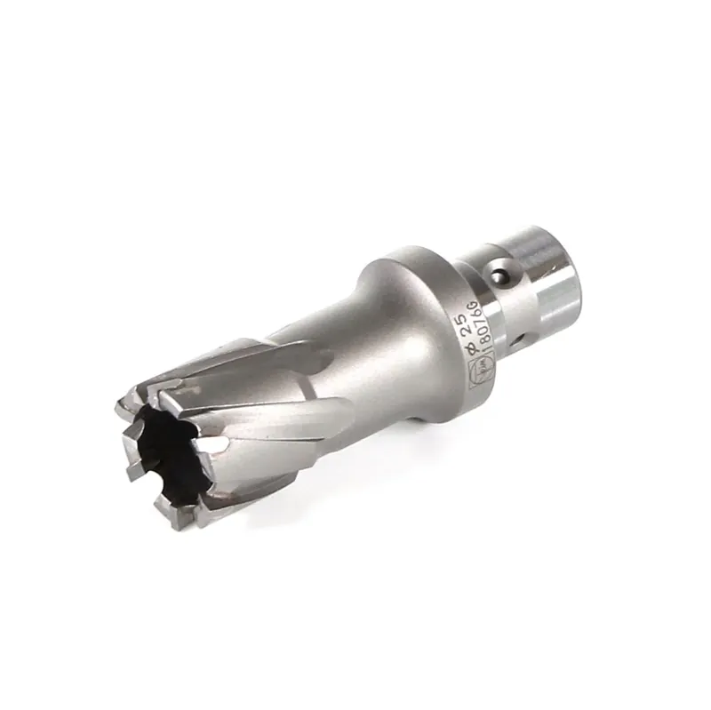 Neue Kollektion Fein HM Ultra Kernbohrer mit QuickIN-Aufnahme 25 mm ( 63127099014 )