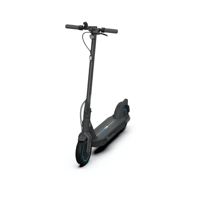 Ninebot Kick Scooter MAX G30D by Segway E-Scooter Elektro Roller 350 Watt Motor 20 km/h bis zu 65 km Reichweite schwarz Straßenzulassung mit ABE Knallerangebot