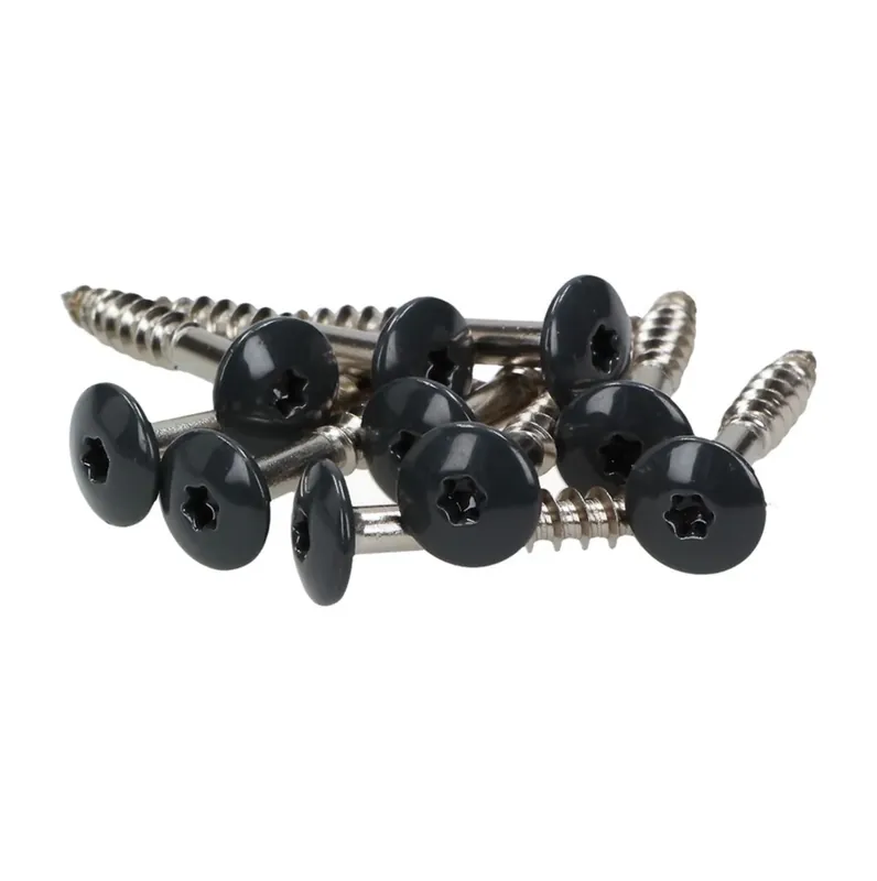 Meisterling Fassaden Schrauben 4,8x25 mm 100 Stück ( 010020000011 ) 12 mm Flachkopf anthrazit mit Torx Teilgewinde V2A Edelstahl Super-Preis
