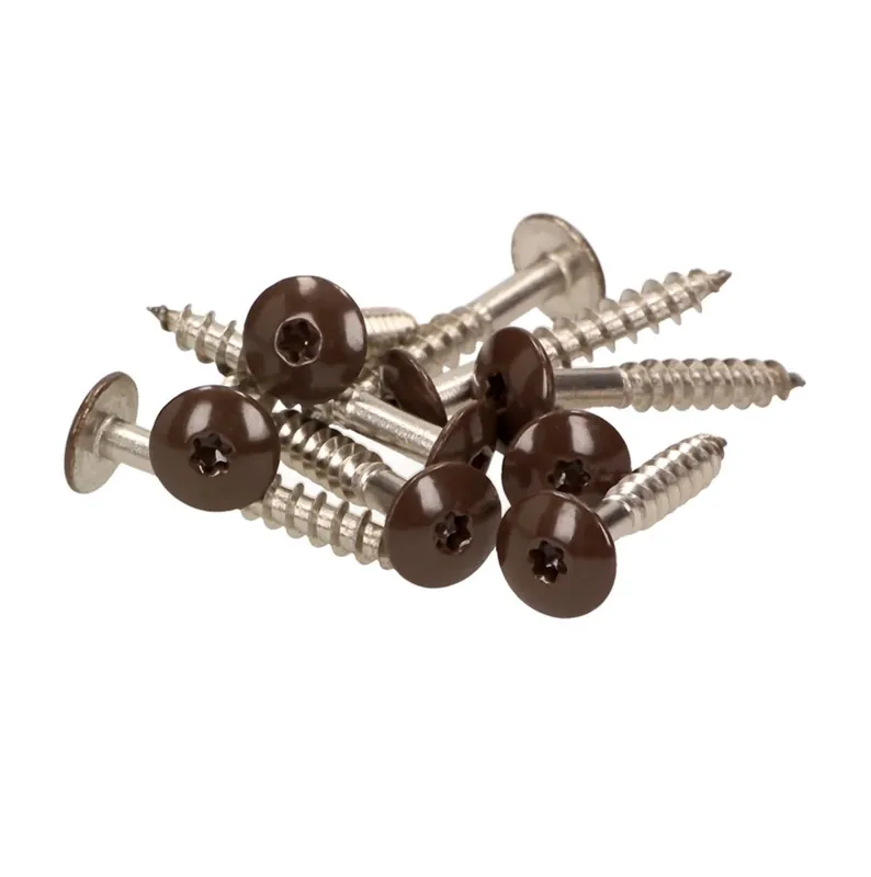 Angebot Meisterling Fassadenschrauben 5,5x25 mm 100 Stück ( 010030000031 ) 12 mm Flachkopf dunkelbraun mit Torx Teilgewinde V4A Edelstahl