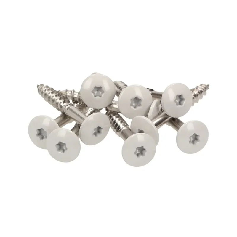 Saisonangebot Meisterling Fassadenschrauben 5,5x45 mm 100 Stück ( 010030000341 ) 12 mm Flachkopf hellgrau mit Torx Teilgewinde V4A Edelstahl