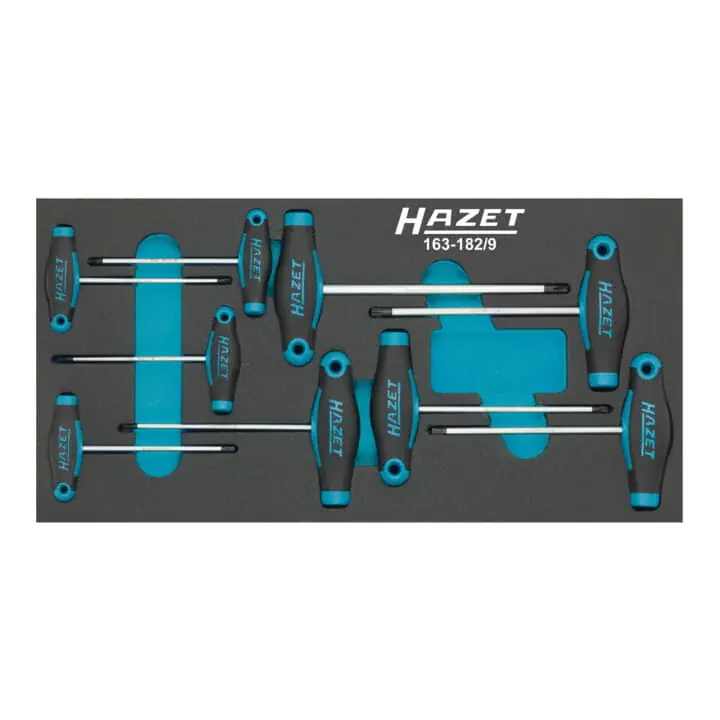 Must-Have HAZET Werkzeugmodul 163-182/9 9-teilig ( 8000465896 )