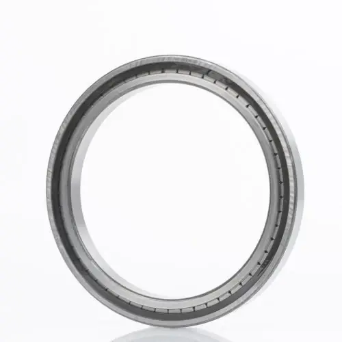 Geprüft INA Zylinderrollenlager SL182212 Innen-Ø 60 mm Außen-Ø 110 mm ( 8000534809 )