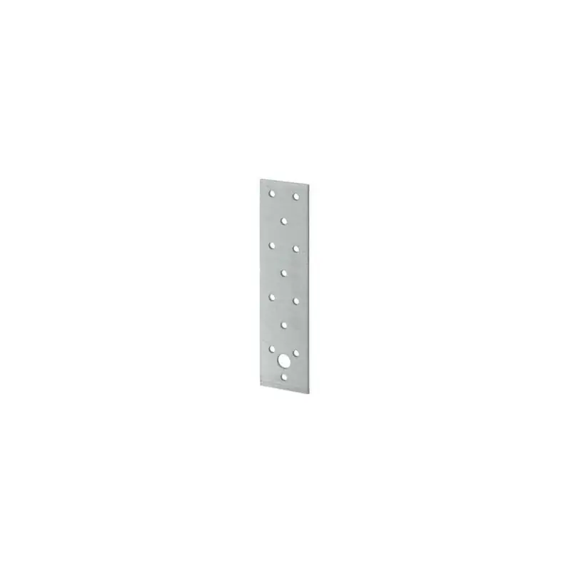 VORMANN Lochplatte H160xB40xS2mm ( 3000273101 ) Markenware