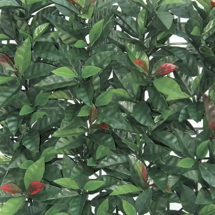 Siepe sintetica sempreverde Redplast artificiale Verdelook Photinia Schneller Versand