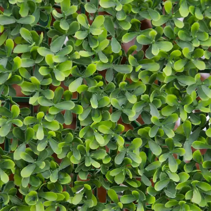 Geprüft Siepe sintetica sempreverde Buxus artificiale Verdelook
