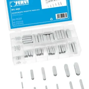 Assortimento 60 chiavette parallele 0257 Fervi Markenware